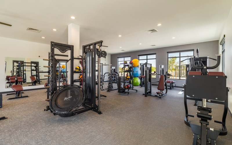 Fitness center with weightlifting machines and free weights